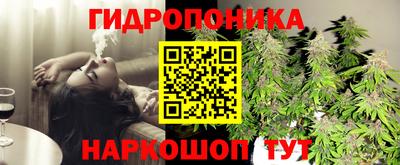 спиды Гагарин