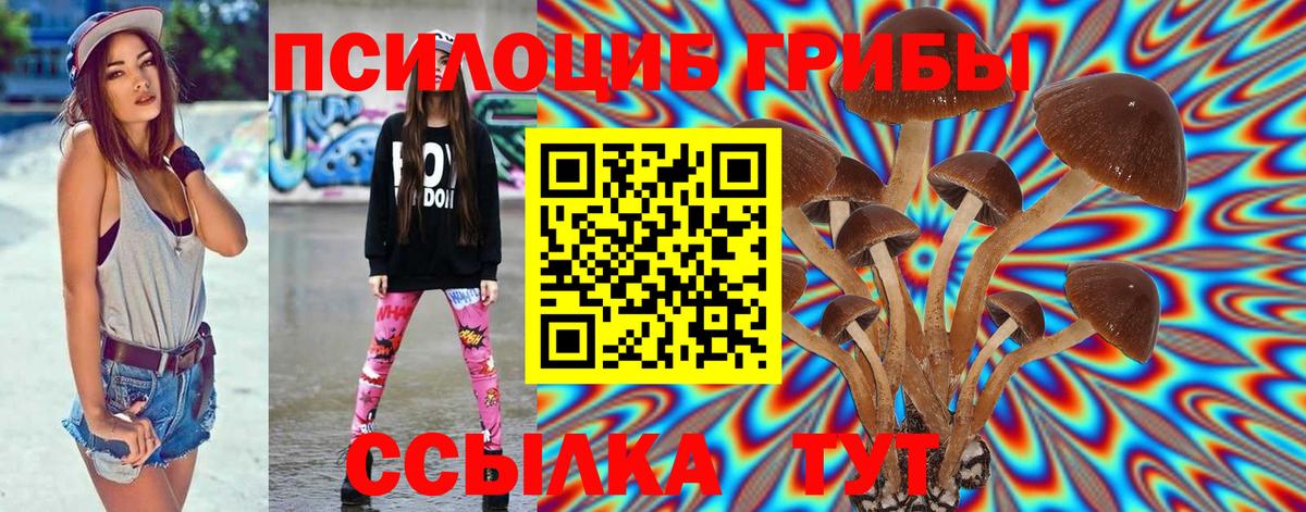 Галлюциногенные грибы GOLDEN TEACHER Менделеевск