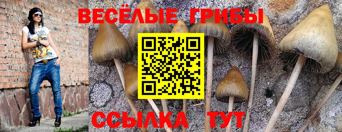Менделеевск  купить наркотики цена  Вход с VPN  Псилоцибиновые грибы мицелий 